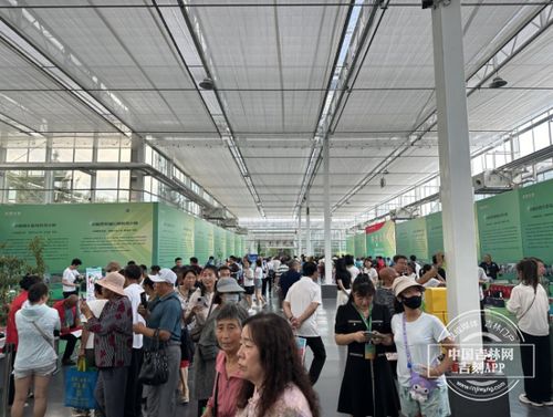 農博會之旅 探訪科技小院，體驗農業新質生產力與教育科技的融合